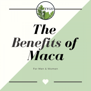Benefits of Maca