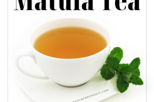 2023 Matula Tea - A Solution for H. pylori, Candida + Reflux